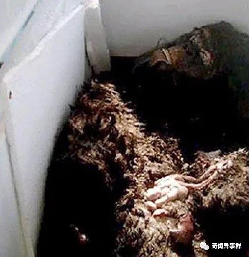 盘点那些被科学破解的神秘事件真相！
