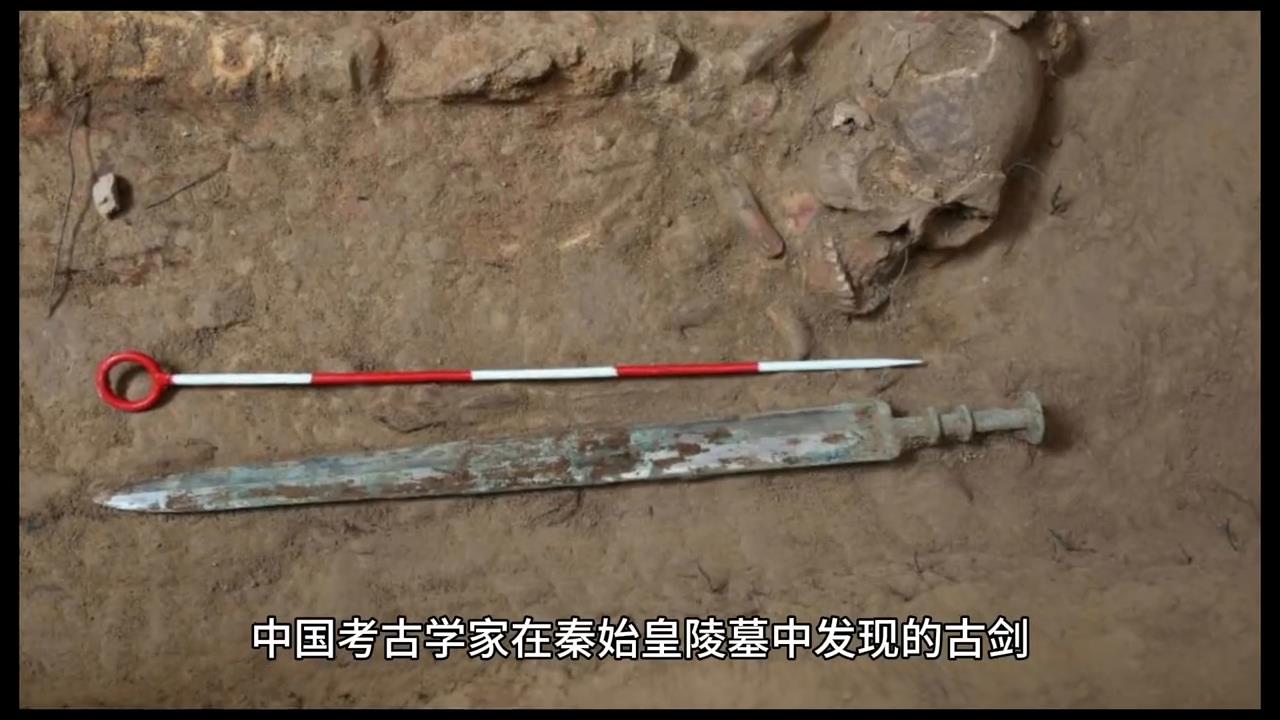 你所不知的世界奇闻