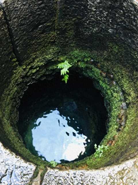 民间奇闻异事录之“古井”