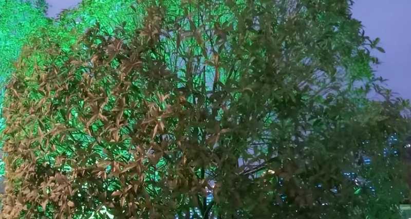 探索那些超出常识的自然奇观