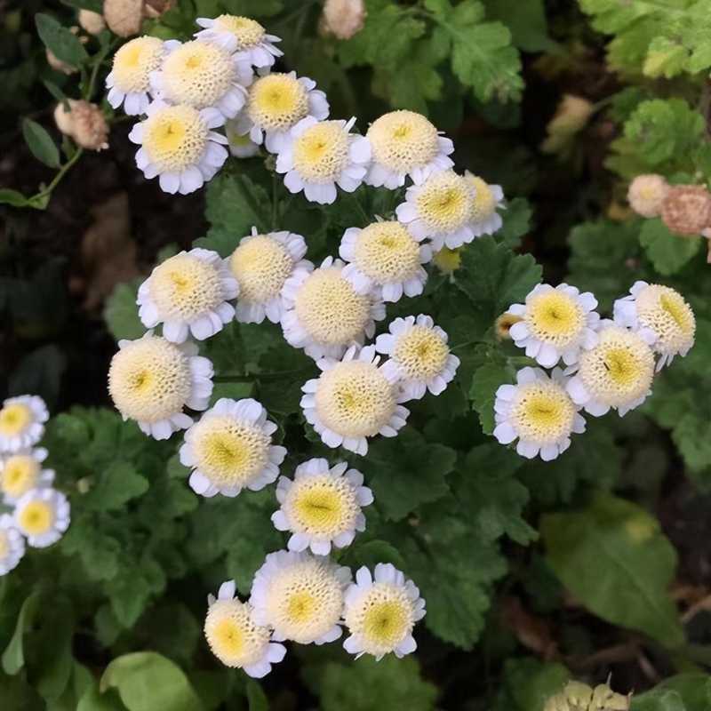 探索那些超出常识的自然奇观