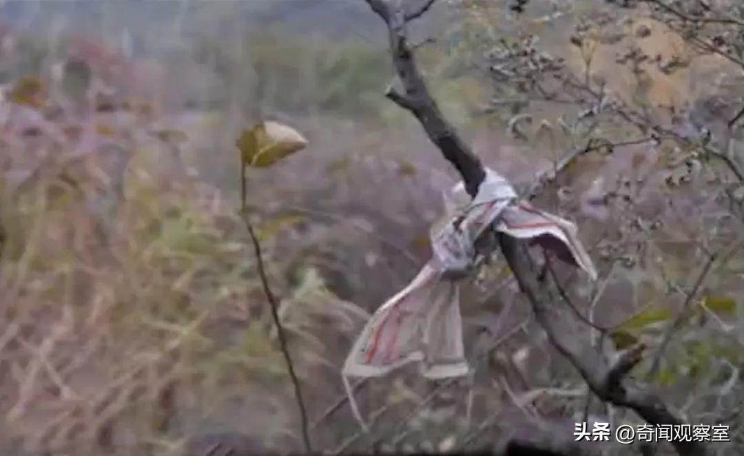 任铁生失踪事件始末，15年的悬案，轰动国内的十大失踪谜案