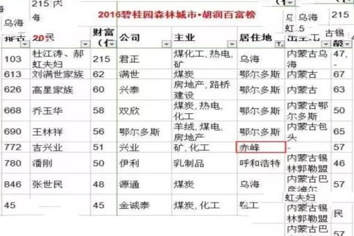 2016胡润百富榜内蒙古富豪，杜江涛215亿的身价成首富